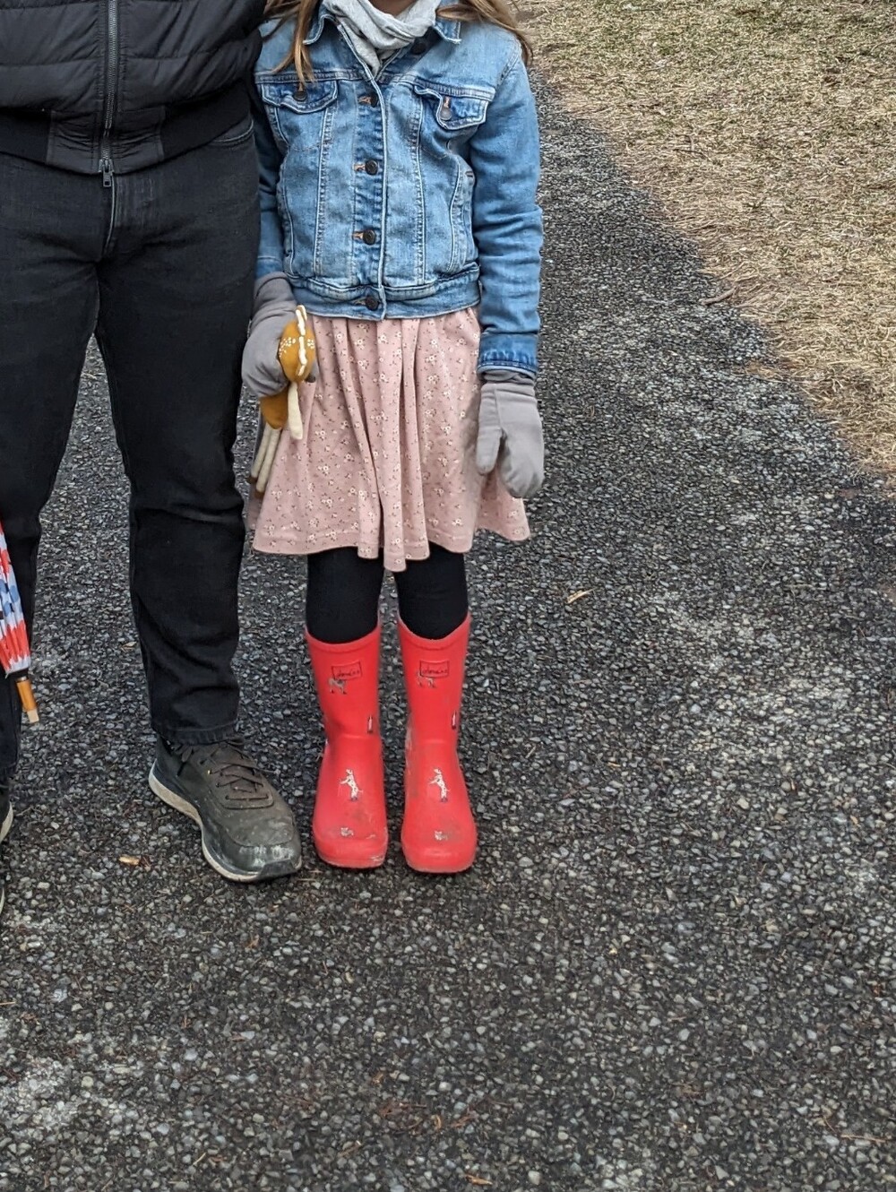Joules Sz US2/EU33 Junior Rollup Hikedogs Print Wellies Rainboots Rubber Boots
